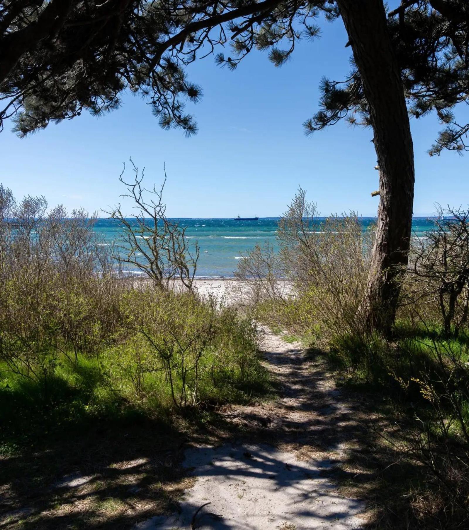 Beach Camp Хёганес Экстерьер фото